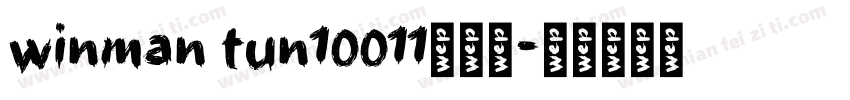 winman tun10011转换器字体转换